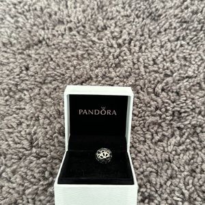 Pandora charm